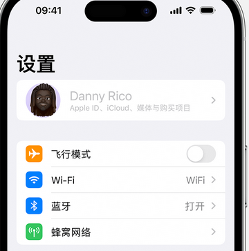 仙桃appleID维修服务iPhone设置中Apple ID显示为灰色无法使用 