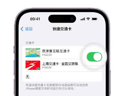 仙桃apple维修点分享iPhone上更换Apple Pay快捷交通卡手绘卡面 