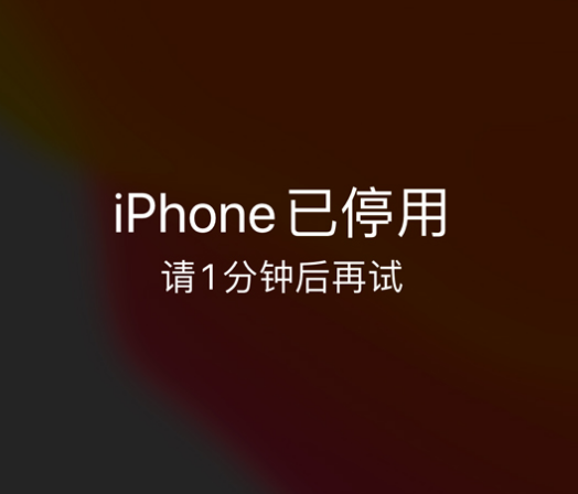 仙桃苹果手机维修分享:iPhone 显示“不可用”或“已停用”怎么办？还能保留数据吗？ 