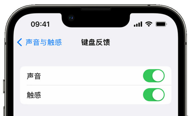 仙桃苹果手机维修分享iPhone 14触感键盘使用方法 