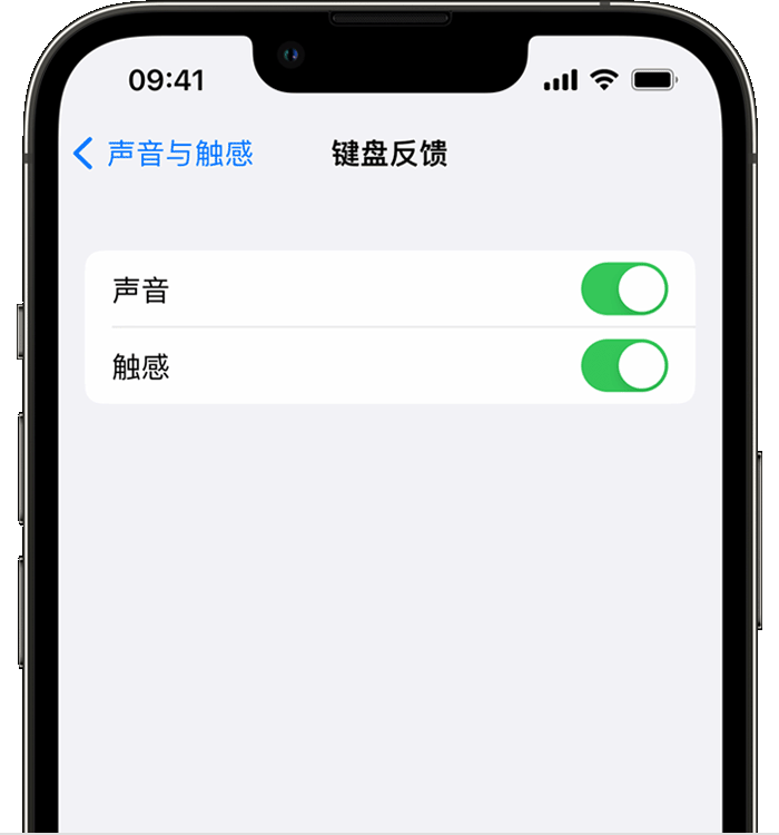 仙桃苹果14维修店分享如何在 iPhone 14 机型中使用触感键盘 