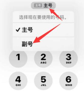 仙桃苹果14维修店分享iPhone 14 Pro Max使用副卡打电话的方法 