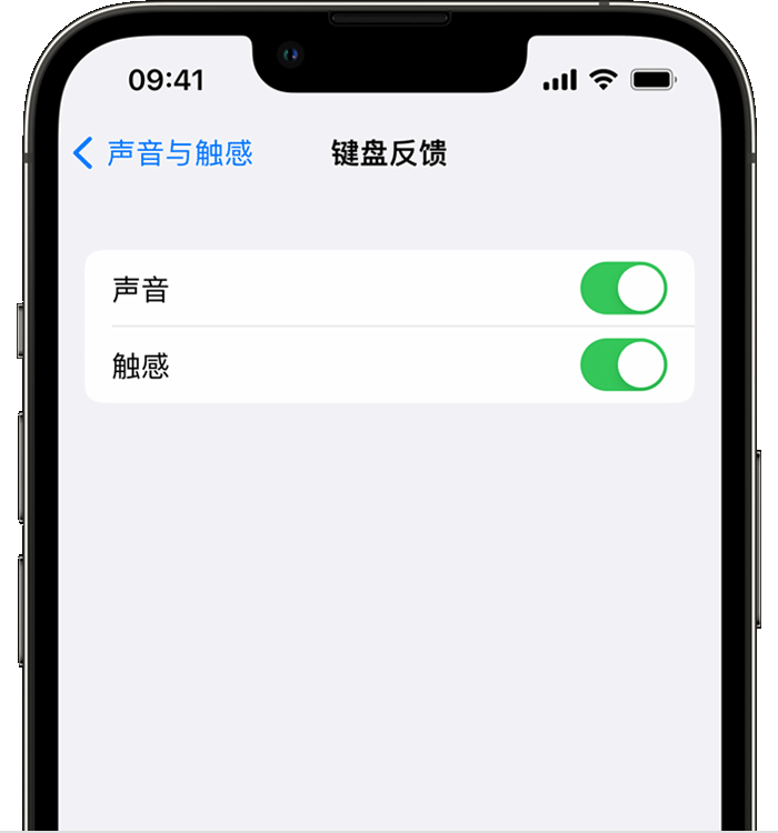 仙桃苹果14维修分享iPhone 14 系列机型如何开启键盘声音或触感反馈 