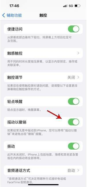 仙桃苹果手机维修分享iPhone手机如何设置摇一摇删除文字 