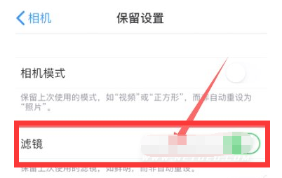 仙桃苹果13维修分享iPhone13拍照有绿点是怎么回事 