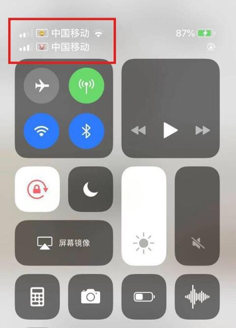 仙桃苹果手机维修分享为 iPhone 12 双卡设置标签 